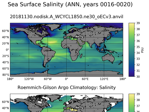 Global Argo Salinity