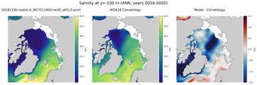 ANN Salinity