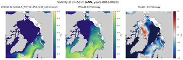 ANN Salinity