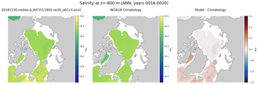ANN Salinity