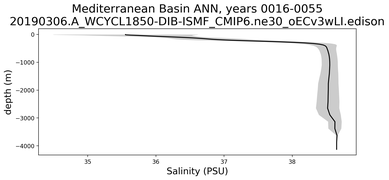 Mediterranean Basin Salinity vs depth
