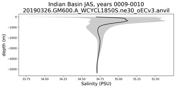 Indian Basin Salinity vs depth
