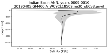 Indian Basin Salinity vs depth