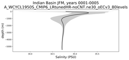 Indian Basin Salinity vs depth