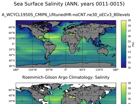 Global Argo Salinity
