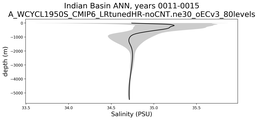 Indian Basin Salinity vs depth