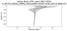 Indian Basin Salinity vs depth