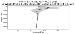 Indian Basin Salinity vs depth