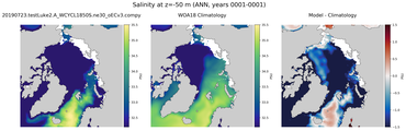 ANN Salinity