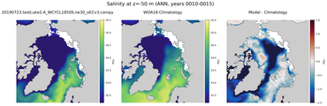 ANN Salinity