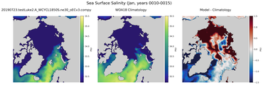 Jan Salinity