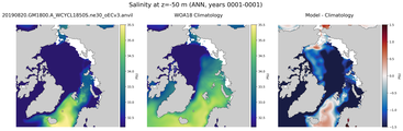ANN Salinity