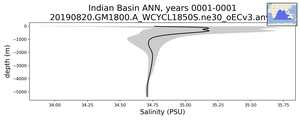 Indian Basin Salinity vs depth