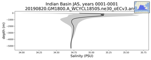 Indian Basin Salinity vs depth