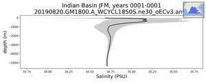 Indian Basin Salinity vs depth