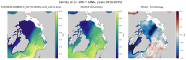 ANN Salinity