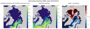 ANN Salinity