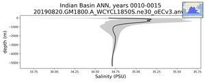 Indian Basin Salinity vs depth