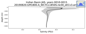 Indian Basin Salinity vs depth