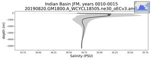 Indian Basin Salinity vs depth