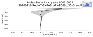 Indian Basin Salinity vs depth
