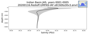 Indian Basin Salinity vs depth