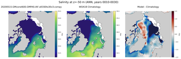ANN Salinity