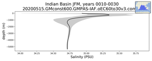 Indian Basin Salinity vs depth