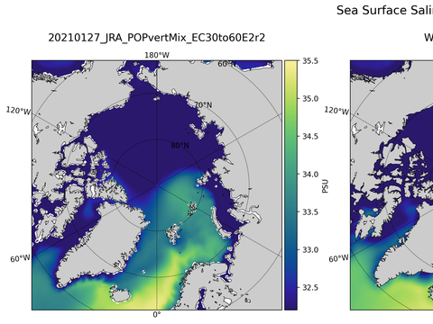 Arctic Salinity