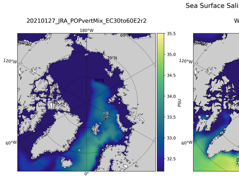 Arctic Salinity