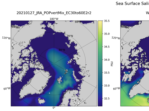 Arctic Salinity