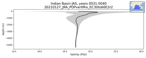 Indian Basin Salinity vs depth