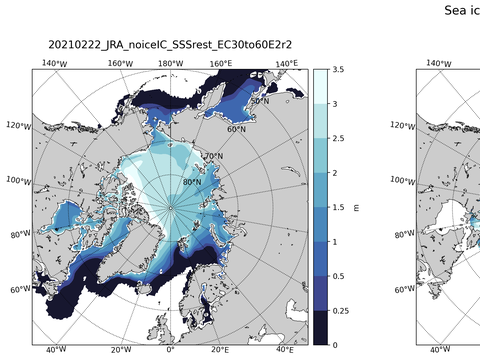Northern-Hemisphere Sea-Ice Thickness