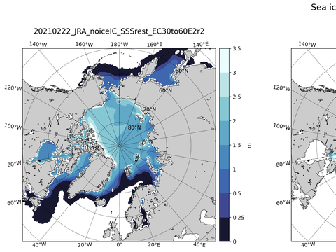 Northern-Hemisphere Sea-Ice Thickness