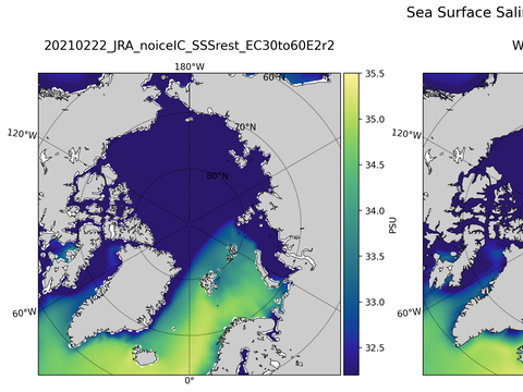 Arctic Salinity