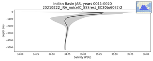 Indian Basin Salinity vs depth