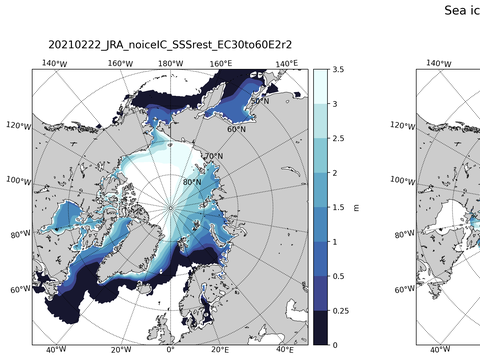 Northern-Hemisphere Sea-Ice Thickness