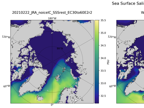 Arctic Salinity