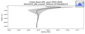 Indian Basin Salinity vs depth