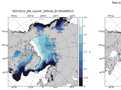 Northern-Hemisphere Sea-Ice Thickness