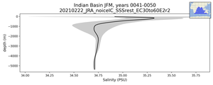 Indian Basin Salinity vs depth