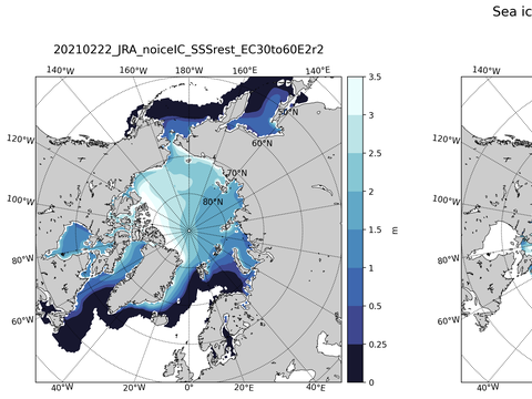 Northern-Hemisphere Sea-Ice Thickness