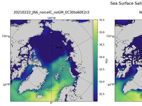 Arctic Salinity
