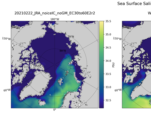 Arctic Salinity
