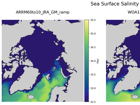Arctic Salinity