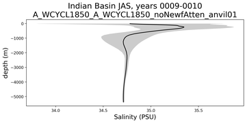 Indian Basin Salinity vs depth