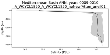 Mediterranean Basin Salinity vs depth