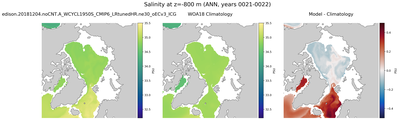 ANN Salinity