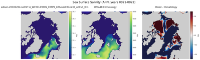 ANN Salinity