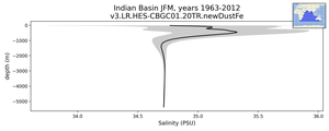 Indian Basin Salinity vs depth